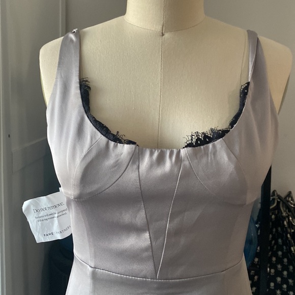 NWT Fame and Partners Ara Silver Maxi Dress - Picture 3 of 10